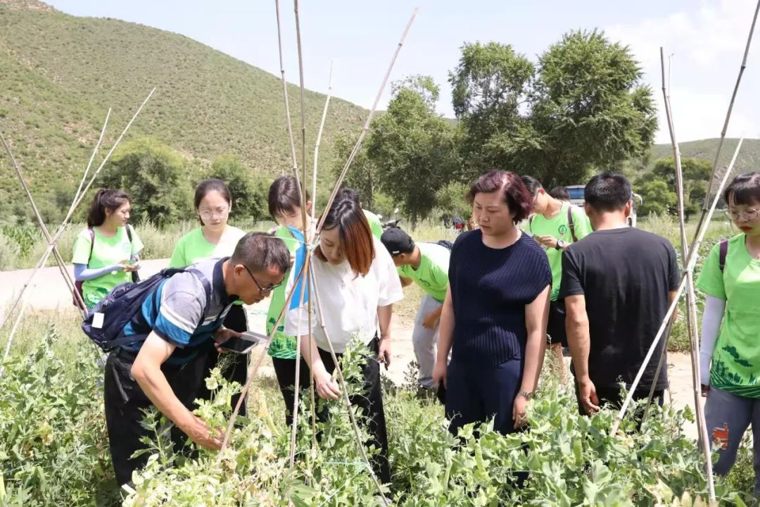 https://mmbiz.qpic.cn/mmbiz_jpg/x0p7xXAhL35pDWdNrd8jJ522DPoxTj9Vn0ySnBGwaibG5gInFSIyTJXbO5dL6dOhuu3sAj4A7wUgwEiauCMPthjA/640?wx_fmt=jpeg